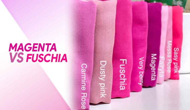 Perbedaan Warna Magenta dan Fuschia