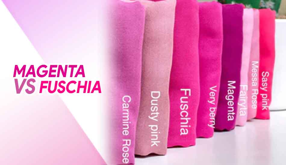 Perbedaan Warna Magenta dan Fuschia
