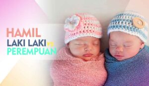 Perbedaan Hamil Laki-Laki dan Perempuan