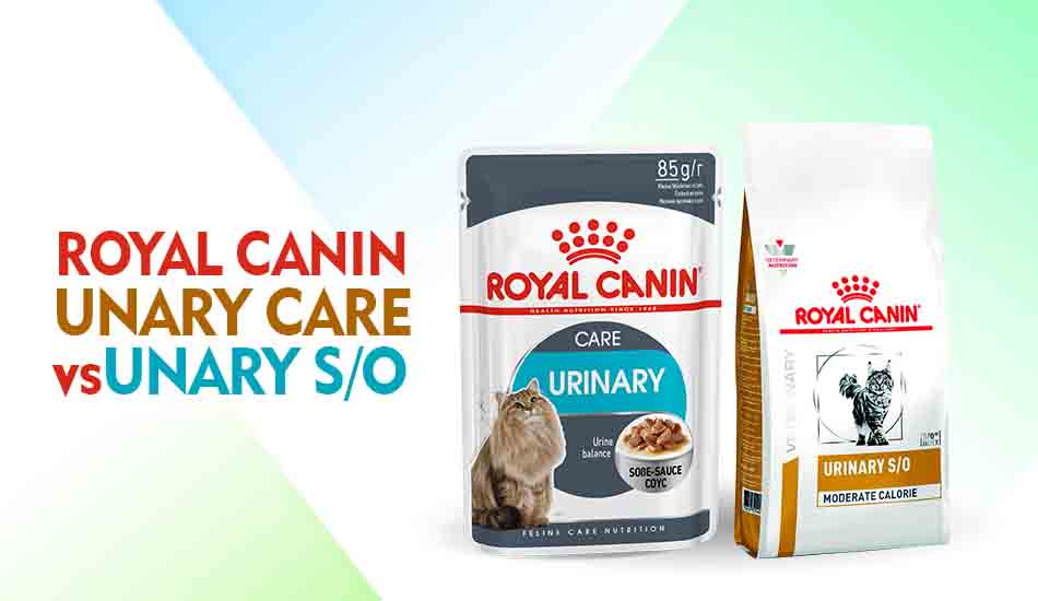 Perbedaan Royal Canin Urinary Care dan Urinary so